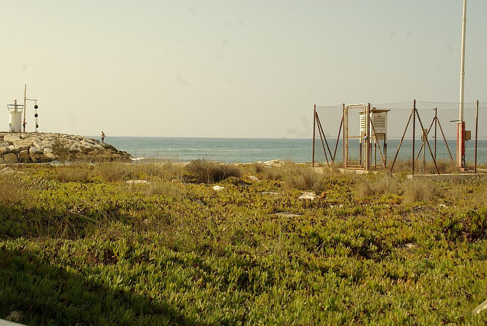 Dunas de Artola
