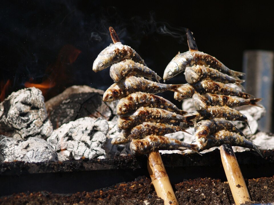 Sardines threaded on cane skewers, grilled upright beside the fire.