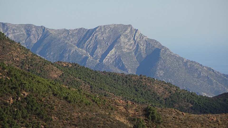 La Concha