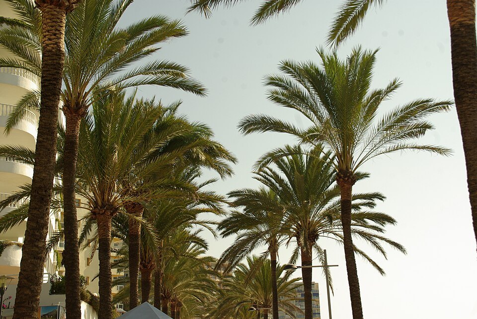 Paseo Marítimo